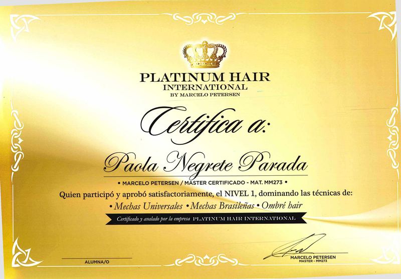 Platinum Hair International — niveau 1 — Platinum Hair International, by Marcelo Petersen