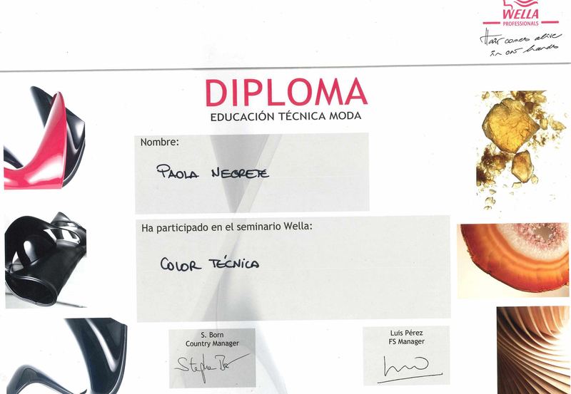 Séminaire « Technique couleur » — Wella Professionals — Educación técnica moda
