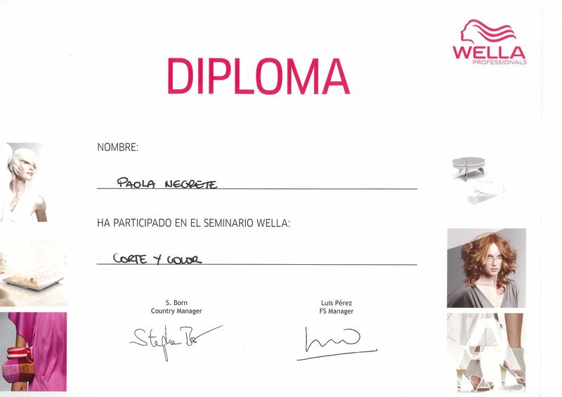 Séminaire « Coupe & Couleur » — Wella Professionals